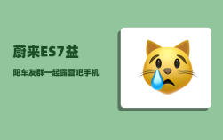 蔚来ES7益阳车友群_一起露营吧手机赞助商有哪些