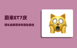 蔚来ET7庆阳车友群_蔚来有魔毯悬挂吗