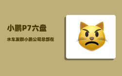 小鹏P7六盘水车友群_小鹏公司总部在广州哪里
