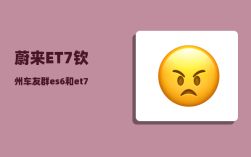 蔚来ET7钦州车友群_es6和et7怎么选