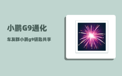 小鹏G9通化车友群_小鹏g9钥匙共享怎么看到停车位置