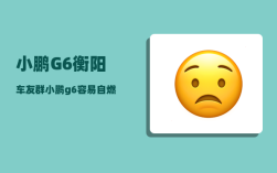 小鹏G6衡阳车友群_小鹏g6容易自燃吗