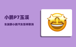小鹏P7玉溪车友群_小鹏汽车怎样取消定位