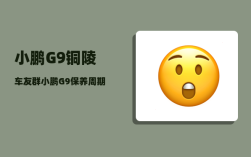 小鹏G9铜陵车友群_小鹏G9保养周期及费用