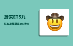 蔚来ET5九江车友群_蔚来et5挡位怎么使用