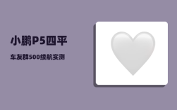 小鹏P5四平车友群_500续航实测