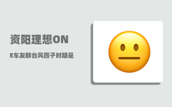 资阳理想ONE车友群_台风四子时期是哪一年