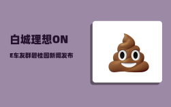 白城理想ONE车友群_碧桂园新闻发布会给每个记者2000元现金
