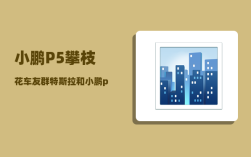 小鹏P5攀枝花车友群_特斯拉和小鹏p5哪个值得购买