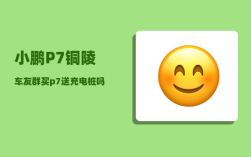 小鹏P7铜陵车友群_买p7送充电桩吗