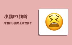 小鹏P7铁岭车友群_小鹏怎么绑定多个车主
