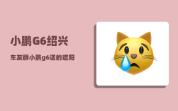 小鹏G6绍兴车友群_小鹏g6送的遮阳帘什么样子