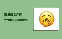 蔚来EC7枣庄车友群_灿烂的转身苏菲开的什么车