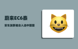 蔚来EC6泰安车友群_谁会入选中国国家队