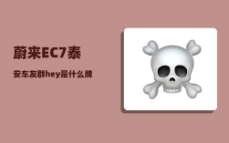 蔚来EC7泰安车友群_hey是什么牌子
