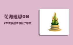芜湖理想ONE车友群_孩子放假了想带着爸爸妈妈去北京玩