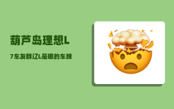 葫芦岛理想L7车友群_辽L是哪的车牌