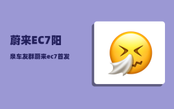 蔚来EC7阳泉车友群_蔚来ec7首发版跟普通版
