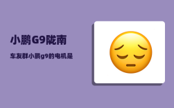 小鹏G9陇南车友群_小鹏g9的电机是哪家的
