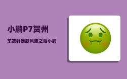小鹏P7贺州车友群_暴跌风波之后小鹏调整了什么