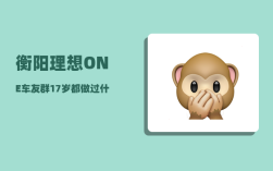 衡阳理想ONE车友群_17岁都做过什么疯狂的事
