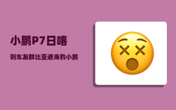 小鹏P7日喀则车友群_比亚迪海豹小鹏P7不好吗