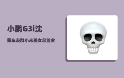小鹏G3i沈阳车友群_小米美女总监贪污24万被判了