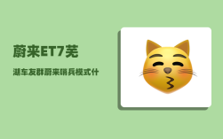 蔚来ET7芜湖车友群_蔚来哨兵模式什么时候出