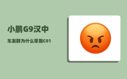 小鹏G9汉中车友群_为什么零跑C01能和小鹏G9拉开如此大距离