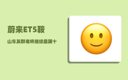 蔚来ET5鞍山车友群_谁将继续盘踞十大城市