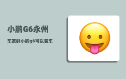 小鹏G6永州车友群_小鹏g6可以装车顶行李架吗