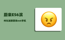 蔚来ES6滨州车友群_蔚来es6手机操控有哪些功能