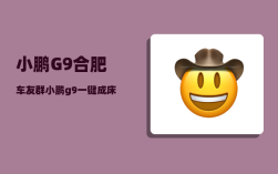 小鹏G9合肥车友群_小鹏g9一键成床是标配吗