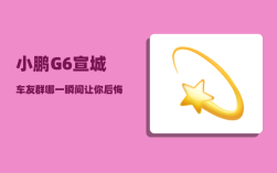 小鹏G6宣城车友群_哪一瞬间让你后悔买电动车了