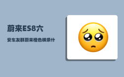 蔚来ES8六安车友群_蔚来橙色横条什么意思