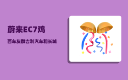 蔚来EC7鸡西车友群_吉利汽车和长城汽车哪个更有未来