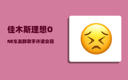 佳木斯理想ONE车友群_歌手许诺会现场自编自唱歌曲