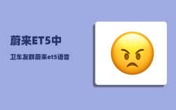 蔚来ET5中卫车友群_蔚来et5语音助手叫什么