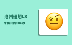 沧州理想L8车友群_理想l7l8和l9油耗