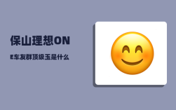 保山理想ONE车友群_顶级玉是什么