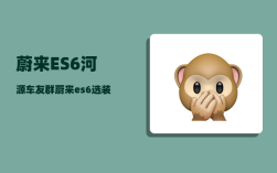 蔚来ES6河源车友群_蔚来es6选装39000的配置怎么用