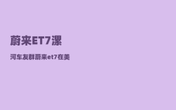 蔚来ET7漯河车友群_蔚来et7在美国卖多少