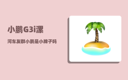 小鹏G3i漯河车友群_小鹏是小牌子吗