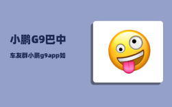 小鹏G9巴中车友群_小鹏g9app如何查找充电记录