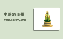 小鹏G9湖州车友群_小鹏汽车g9口碑质量