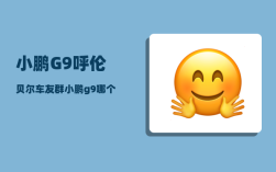 小鹏G9呼伦贝尔车友群_小鹏g9哪个版本值得买