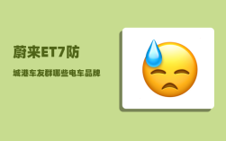 蔚来ET7防城港车友群_哪些电车品牌支持换电