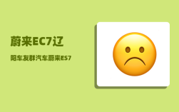 蔚来EC7辽阳车友群_汽车蔚来ES7有多大马力