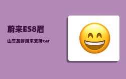 蔚来ES8眉山车友群_蔚来支持carplay吗