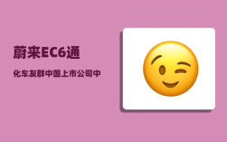 蔚来EC6通化车友群_中国上市公司中有哪些隐形冠军